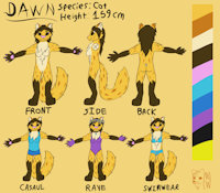 Dawn Reference Sheet by MagicWolfy - cat, feline, female, fun, cuddly, fun loving, comestic cat