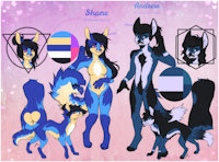 2018/2019 Ref by Icedfoxes - dog, fox, female, wolf, male, sheet, ref, non, binary