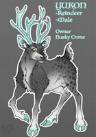 Yukon Ref by Husky657 - male, gold, white, stag, grey, antlers, reindeer, light blue