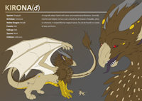 Kirona Ref Sheet by Kirona - dragon, male, hybrid, reference sheet, gryphon, feral, ref sheet, reference, refsheet, mythological, dragryph