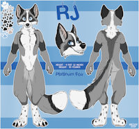 RJ Ref Sheet by RJKincade - fox, male, ref sheet, platinum fox, rjkincade