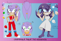Nula @ 19: Full Bio by Chinry - female, character sheet, collar, hedgehog, dark, character, sonic, evil, sonic fan character, bio, sonic oc, skinny legs