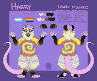 commission - harry reference sheet by frillious - commission, gay, reference sheet, reference, opossum, harry, nonbinary