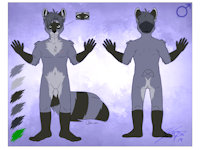 Richard's new ref by shifteranima - raccoon, male, gay, ref, gay male