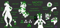 NachTSS Refsheet V2.2 - Art by Karzai  by NachTSS - cute, glow, green, sexy, paws, mohawk, sci-fi, neon, fangs, cyber, scar, sign, cheetah, slender, sabertooth, hindpaws, saber, logo, king cheetah, lime, cyberpunk, pawpads, gasmask, slim, radiation