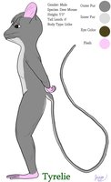 Tyrelie Temp Character Sheet by Junion - male, mouse, character sheet, deer mouse