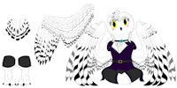 Chioni by Fawnkel - cute, small, female, owl, rogue, dnd, snowy owl, aarakocra, smol
