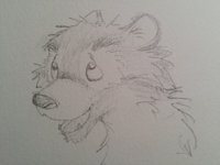 Wah by AstuteStoat by GreenReaper - sketch, red panda, male, pencil, smiling, headshot