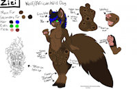 Fursona for Sale (Cheap, Make an Offer) by Zizithewolf - dog, breasts, female, wolf, mix, make, canine, art, sale, wild, design, character, cheap, an, fursona, adopt, extra, offer, ota, africian