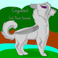 Crystal Diamond by CrazyCorbeau - forest, river, female, wolf