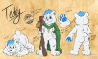 Teddy Reference by Teddy - male, bear, polar, reference, polar bear