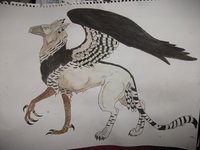 Fair and beutiful~ by Ihana - male, eagle, gryphon, character sheet, rpg, griffin, harpy