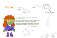 Citrine The Goblin Mage by Luckykid7 - female, magician, mage, stink, stench, smelly, stinky, smell, goblin, female/solo
