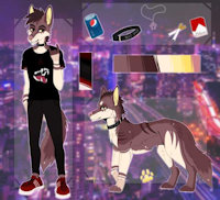 Needs a name.. by Ionakana - male, wolfox