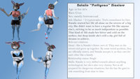 Natalie character sheet by LongingTailNEO - girl, female, character sheet, crux, natalie
