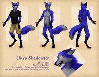 Adult Ukyo by UkyoShadowfox - fox, male, adult, character sheet, blue, red fox, reference