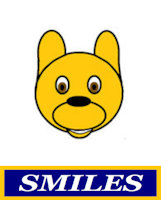 Smiley Face Icon by wild1