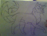 Corbeau's new design by CrazyCorbeau - dragon, cat, female, wolf, catolfgon