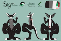Another Ref Sheet by NordicSkunk - male, mjolnir, titan ae, mantrin, titan a.e., skunktrin, sykon