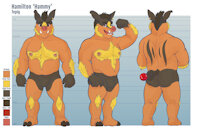 Hamilton Ref SFW by Gebji - male, pokemon, tepig, reference-sheet