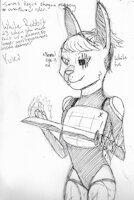 Yuki the Bunoichi (Kunoichi) by IHaveVertigo - female, rabbit, magic, demon, hare, ninja, scar, kunoichi, white rabbit