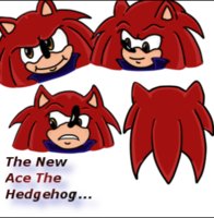 Ace The Hedgehog 2011 by RB9 - male, hedgehog