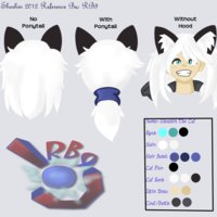 Shoshin Reference 2012 (Without Hood) by RB9 - male