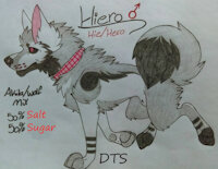 Salty Hero. 2018 Ref. by HieroX - dog, wolf, male, reference sheet, canine, feral, ref sheet, akita, wolfdog