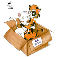 Free Kittens by RisingDragon