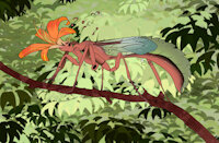 18.2 Treesong colored by Ceruna