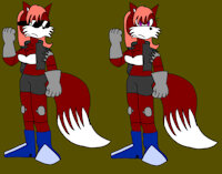 [COLLABORATION] Sashdroid 650 the Hedge-Fox by JohnnyBoy10130 - fox, boobs, female, hedgehog, android, robot, sonic fan character, sonic oc, non applicable, biker jacket