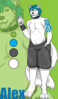 Alex-my brother by Ashwolves5 - wolf, white, brother, furry, alex, alpha