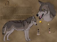 Moraga Ref - Updated by LostWolfSpirit - female, wolf, reference sheet, canine, character sheet, feral, model, character, sheet, canid, reference, quad, quadruped, headshot, arachnid, model sheet, lostwolfspirit, minnowfish, moraga