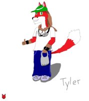 New Submission by Tyler - redfox, layout, male.