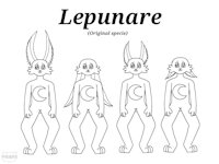 Lepunare - original specie by Marinyah - original, design, oc, reference, original character, original specie, variable, original art
