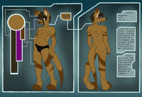 Tyroo - ref sheet by Tyroo - male, kangaroo