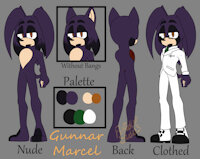 Gunnar / Void Ref by FluffedUpStudios - male, death, hedgehog, gore, sonic, sonicfc, sonicoc