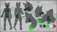 Alex temporary ref by Falconcommand - wolf, male, reference sheet, anthro, clean, sfw, flatcolor