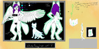WIP ref sheet  by WhiteFang - wolf, winged, female/solo