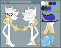 Midnight the Hedgehog by MidnightMuser - naked, nude, male, reference sheet, water, hedgehog, barefoot, bio, sonic fancharacter, midnight the hedgehog