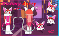 Zachary reference by Netherkitty - cat, female, character sheet, reference, whitecat, character development, character ref, character design, character concept, zachary