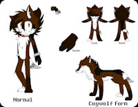 Kato The Coywolf Ref by xSonadowLover103x - wolf, male, coyote, coywolf, sonic fan character, sonic oc, sonicoc