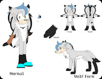 Soul The Hedgehog Ref by xSonadowLover103x - male, hedgehog, hermaphrodite, uke, werehog, sonic fan character, sonic oc, sonicoc