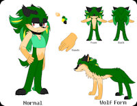 Ryan The Hedgehog Ref by xSonadowLover103x - male, hedgehog, sonic fan character, sonic oc, sonicoc