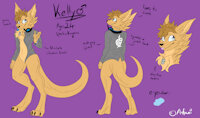 Kelly Ref Sheet (SFW) by DawnTheDragon - cute, male, waving, character sheet, kangaroo, roo, necklace, marsupial, shirt, bracelet, text, ref sheet, blue eyes, brown hair, comission, cuddly, english text, grey shirt, digitigrade legs, sandy fur, gaming headset, charm necklace, deerfox charm, destiny franchise, anfani