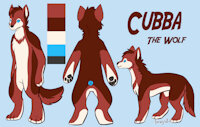 Cubba the Red Wolf - Character Sheet by Cubba - red, wolf, male, red wolf