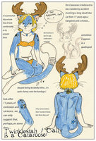 Cataroose - Anthro Style by antlercat - cats, cat, feline, kitty, female, underwear, anthro, model, character, sheet, reference, cataroose, antlercat