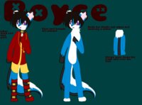 Royce by Ninjagirly - fox, cute, boy, wolf, fursona