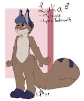 Meet Luka! by StellarSqueak - cub, male, lynx, tailmouth, kidfur