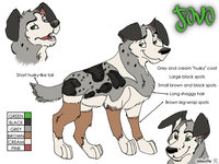Old Jovo Ref Sheet by Jovo - male, ref sheet, australian shepherd